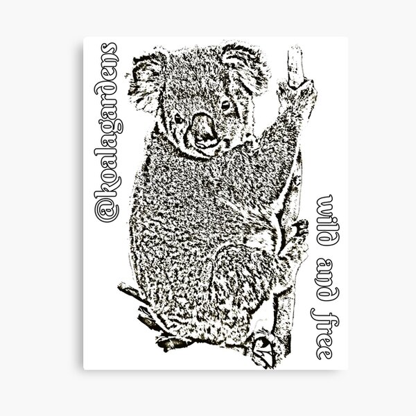 Clinger - wild koalas must have a future Canvas Print