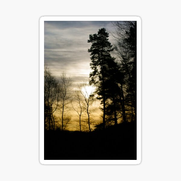 Morning Light Sticker