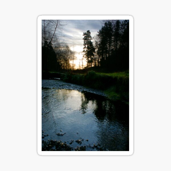 Morning Light Sticker