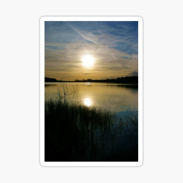 Morning Light Sticker