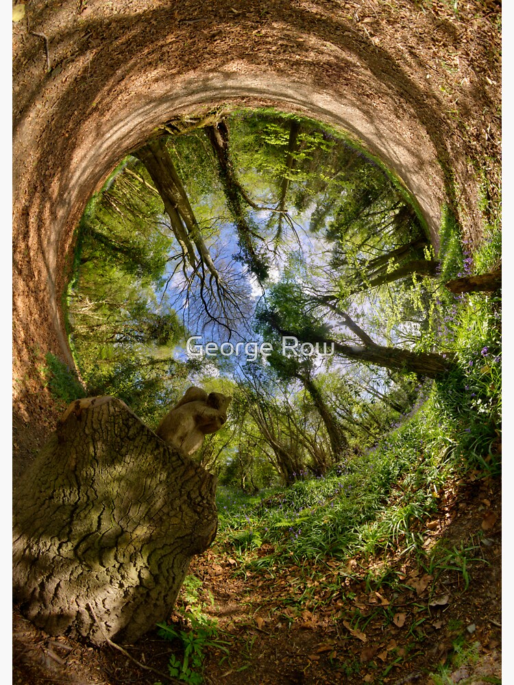 Squirrel Sculpture in Prehen Woods, Derry - Sky In by VeryIreland