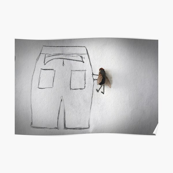 "Fly by the seat of your pants" Poster by susanirene Redbubble