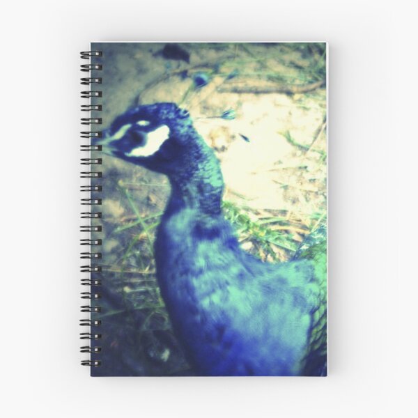 Item preview, Peacock designed and sold by Lizandra89.