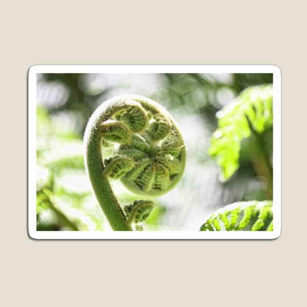 Item preview, New Zealand Fern in Spring designed and sold by Giovanna Tucker.