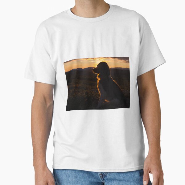 Stabyhoun in sunset Classic T-Shirt