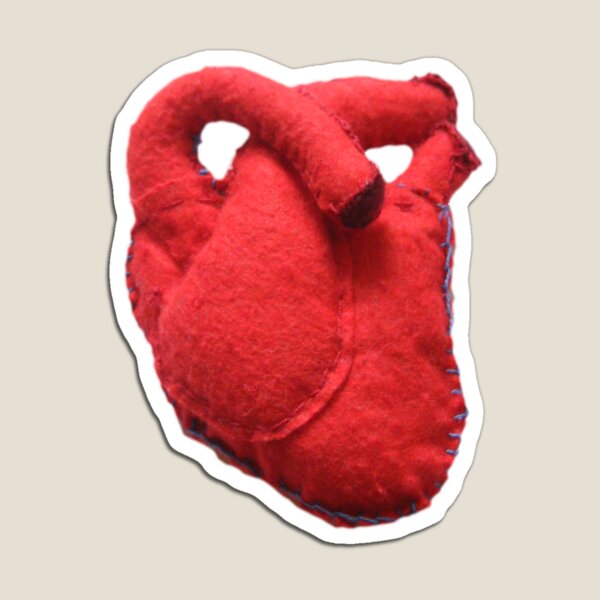 Anatomical heart Magnet