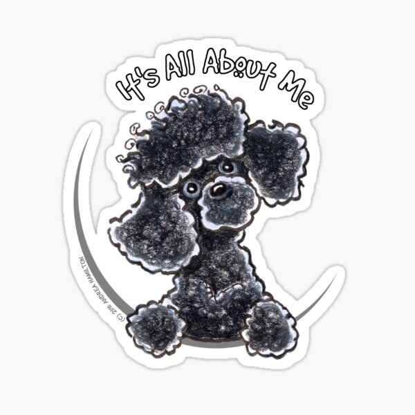 white and black toy poodle