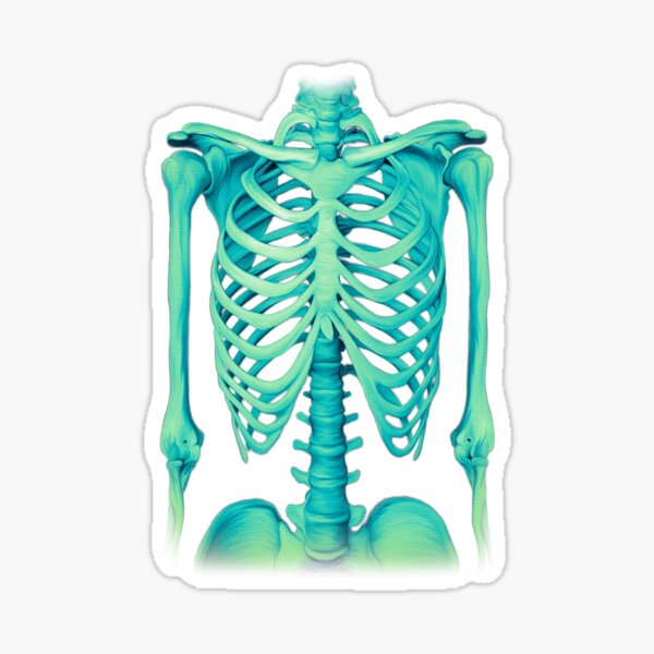 Skeleton Sticker
