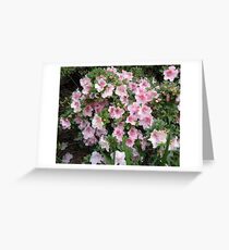 Pink Azaleas Greeting Card