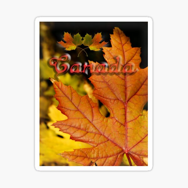 Ties of Love ~ Canada Day Sticker