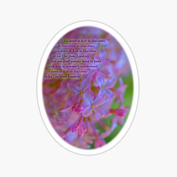 Go down to Kew in lilac-time Sticker