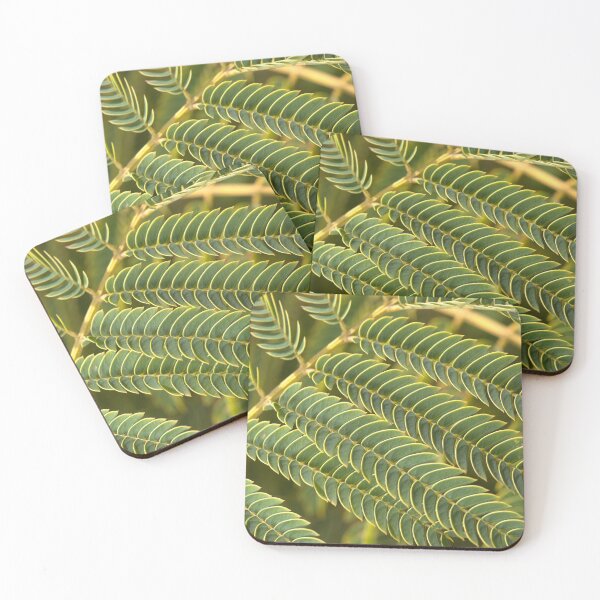 Item preview, Ferns Scales designed and sold by Joy Watson - Natural Light Photography .