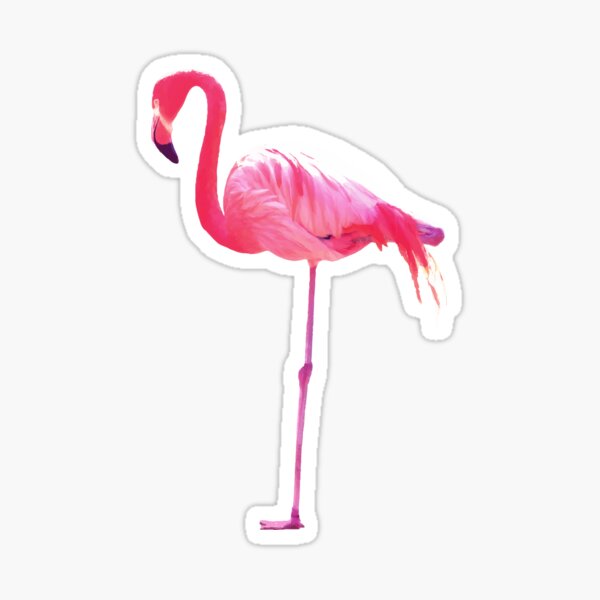 Flamingo Youtube Roblox Id For Just Shapes Flamingo Stickers Redbubble