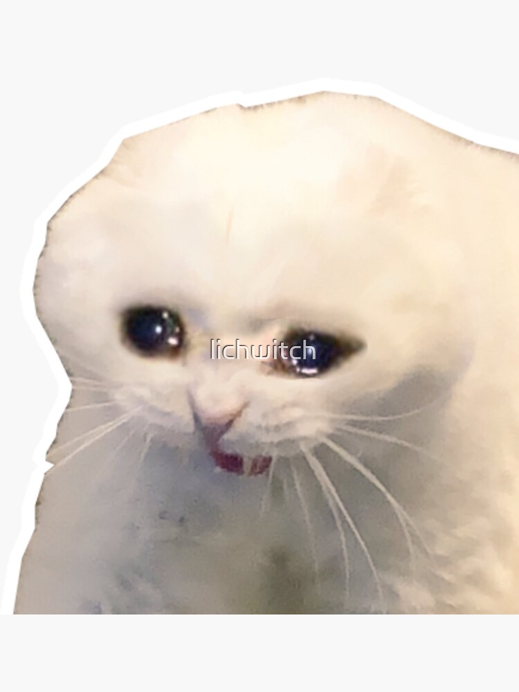 "Sad Cat" Sticker by lichwitch Redbubble