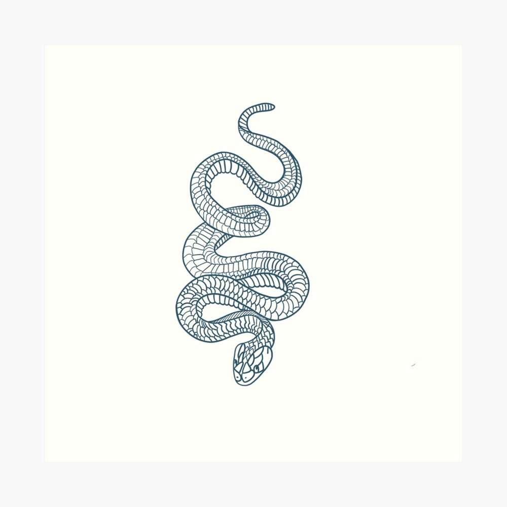 Intricately Intertwining Snake Tattoos Using Black and White Ink