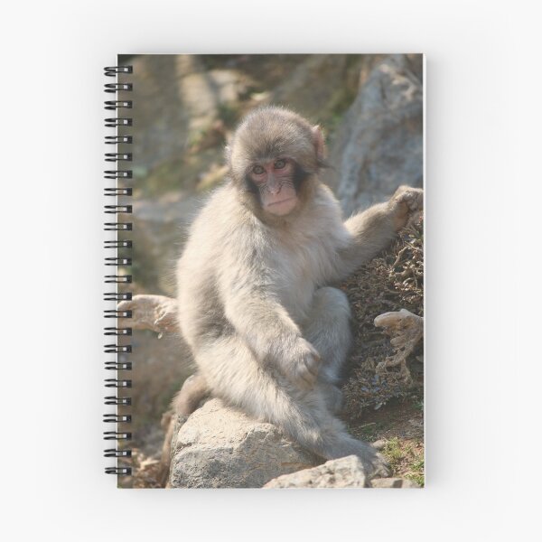 Item preview, Baby Monkey, Kyoto, Japan designed and sold by Bec Rose.