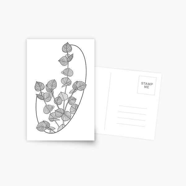 Eukalyptus Postkarte