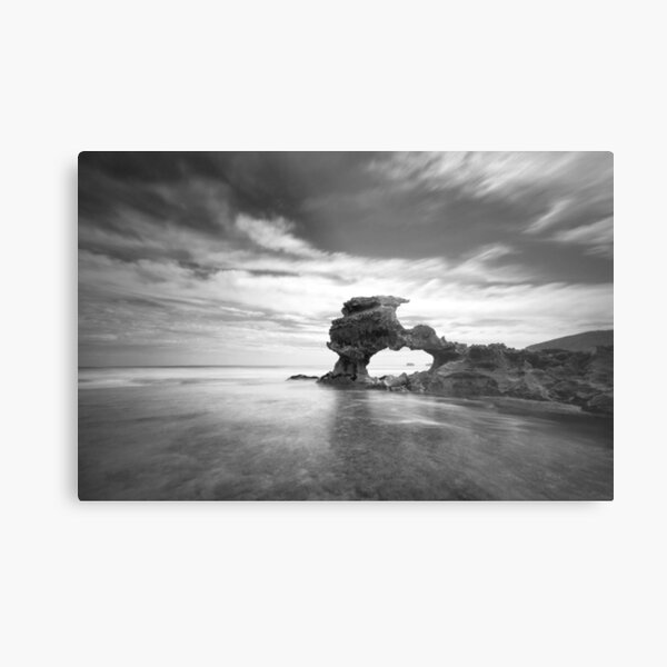 Metal Print