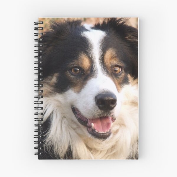 Item preview, When You're Smiling. designed and sold by Michael Haslam.