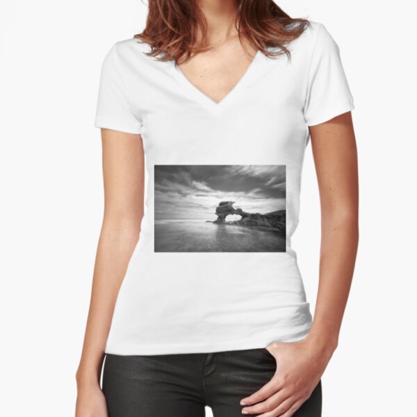Fitted V-Neck T-Shirt