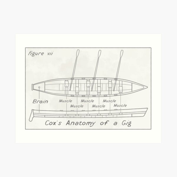 Cox's anatomy of a gig Art Print