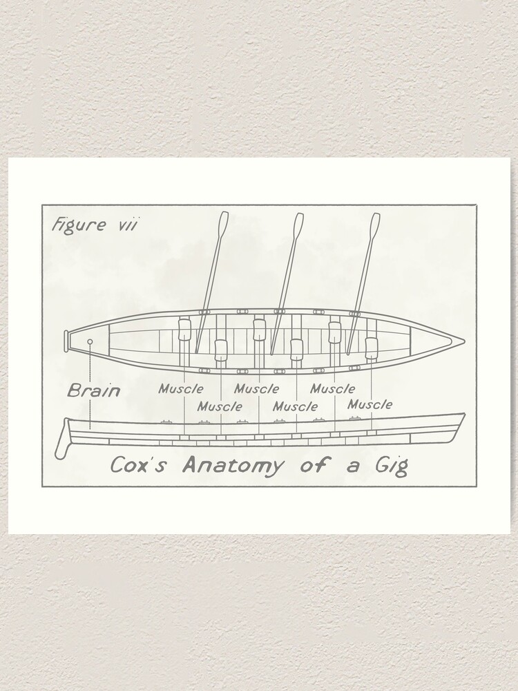 Alternate view of Cox's anatomy of a gig Art Print