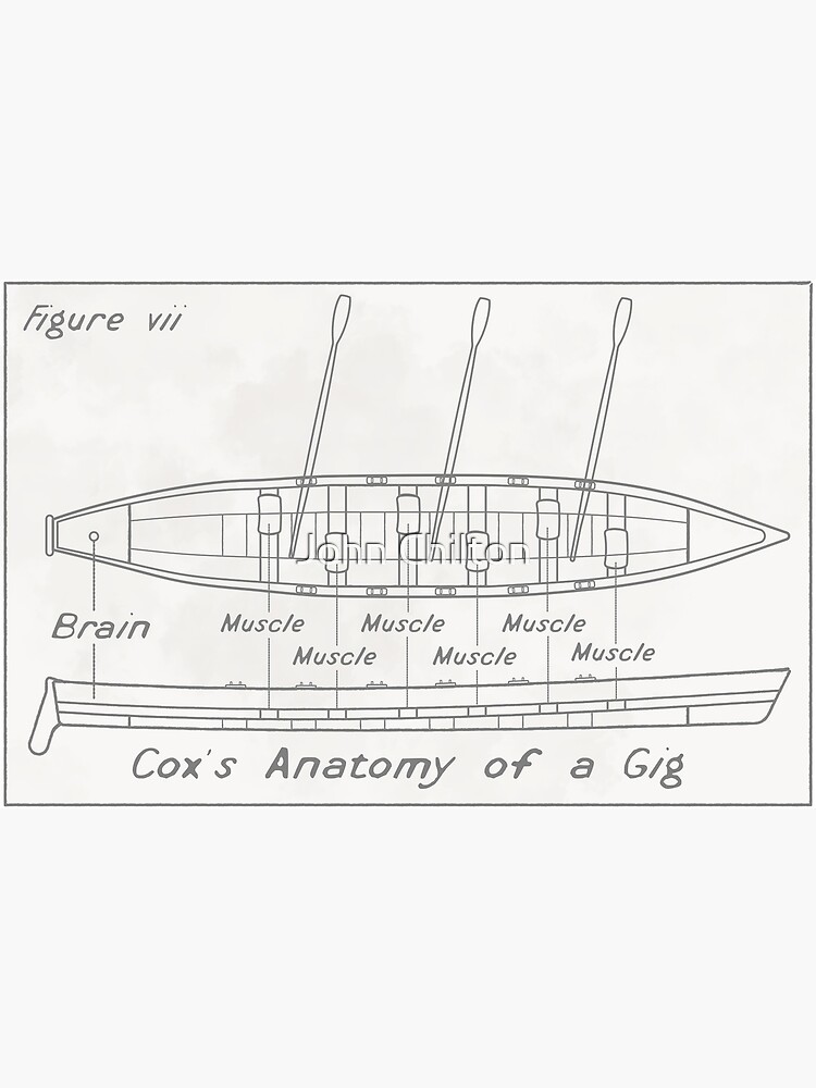 Cox's anatomy of a gig by DrawnToTheSea