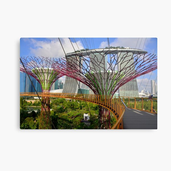 Gardens by the Bay, Singapore Metal Print