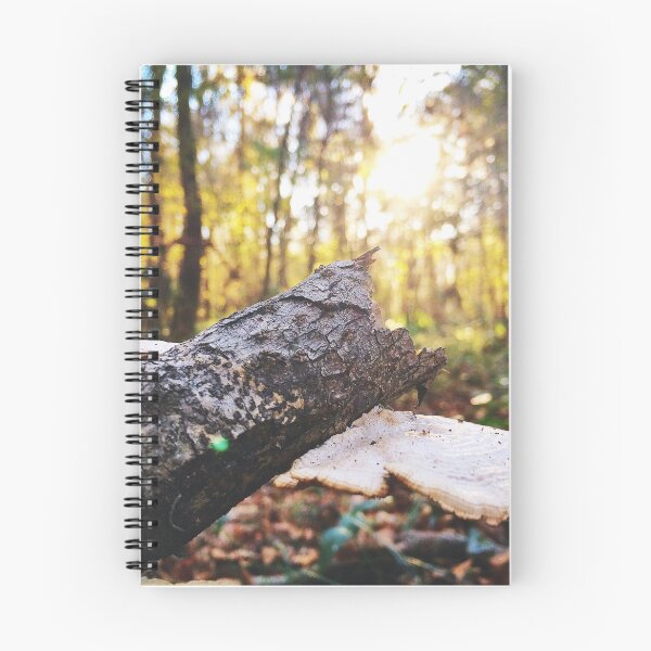 Item preview, Forrest Perspective  designed and sold by ProjectSpearman.