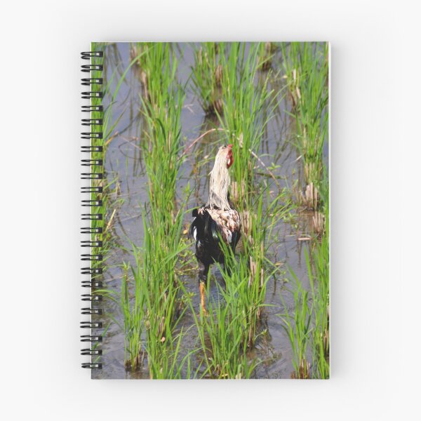 Item preview, Rooster strutting in the rice fields designed and sold by WanderingJane.