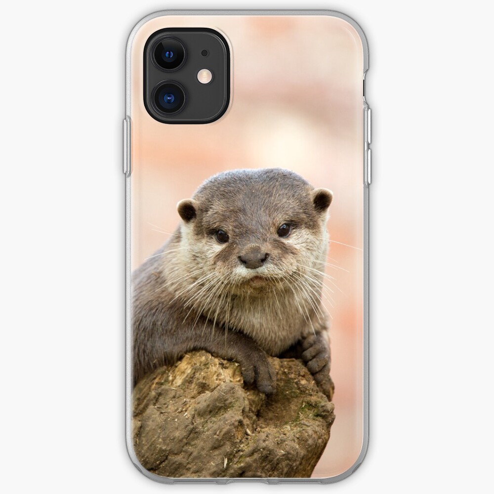 "Otter 2" iPhone Case & Cover by Ellesscee Redbubble