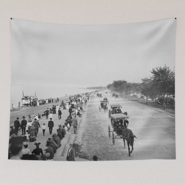 Item preview, Pleasure driving, Lake Shore Drive in Lincoln Park 1905 designed and sold by BritishYank.