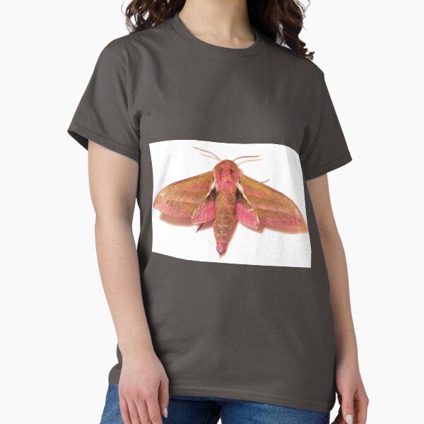 Item preview, Elephant Hawk-moth Deilephila elpenor designed and sold by Yorkspalette.