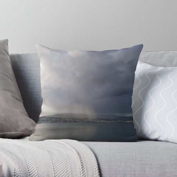 Sunrays Over Dunedin Throw Pillow