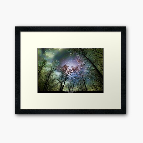 Life Reaching Light (and Vice Versa) Framed Art Print
