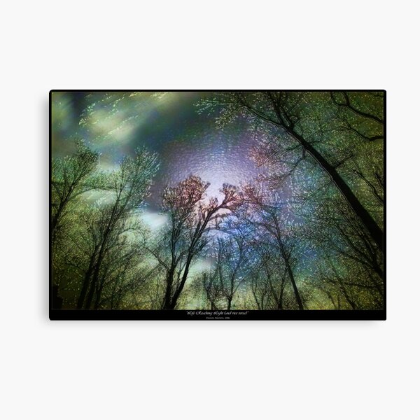 Life Reaching Light (and Vice Versa) Canvas Print