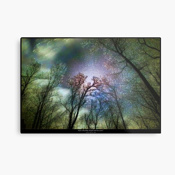 Life Reaching Light (and Vice Versa) Metal Print