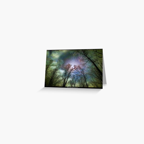 Life Reaching Light (and Vice Versa) Greeting Card