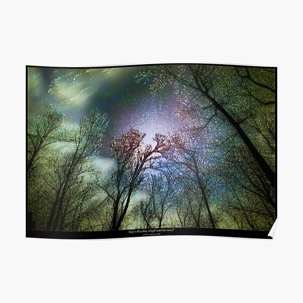 Life Reaching Light (and Vice Versa) Poster