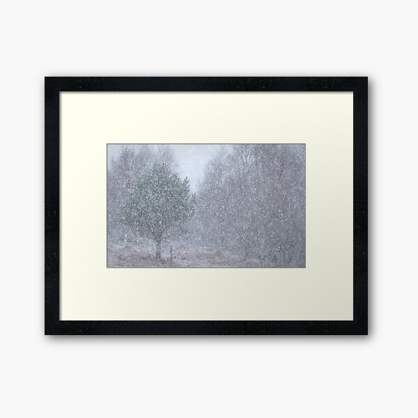 Hints of Trees Framed Art Print