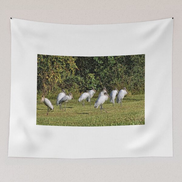 Item preview, Woodstorks 2 - There Is Always One In A Crowd - Florida designed and sold by jtrommer.
