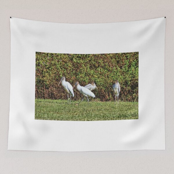 Item preview, Wood Storks 1 - Florida designed and sold by jtrommer.
