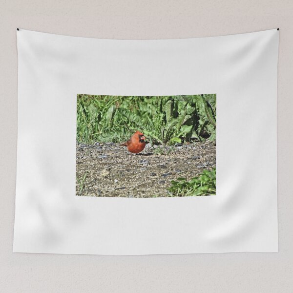 Item preview, Male Cardinal 1 - Pennsylvania designed and sold by jtrommer.