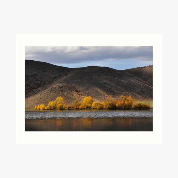 Autumn Gold Art Print