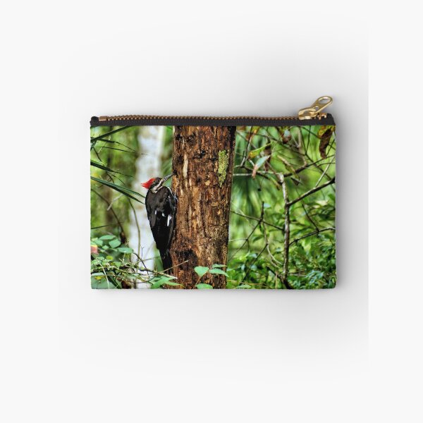 Item preview, Pileated Woodpecker 2 - Florida designed and sold by jtrommer.