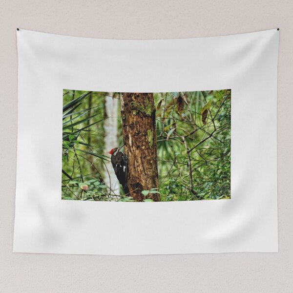 Item preview, Pileated Woodpecker 4 - Florida designed and sold by jtrommer.