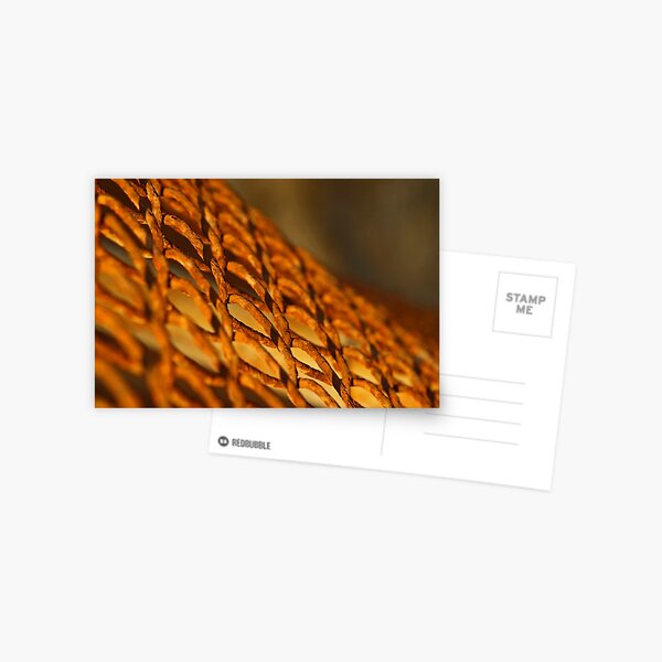 o-fence-ive Postcard