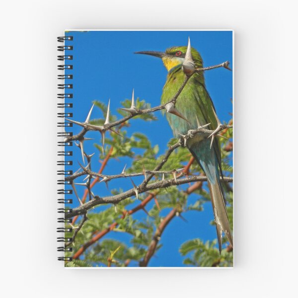 Item preview, Swallowtailed Bee Eater designed and sold by WanderingJane.