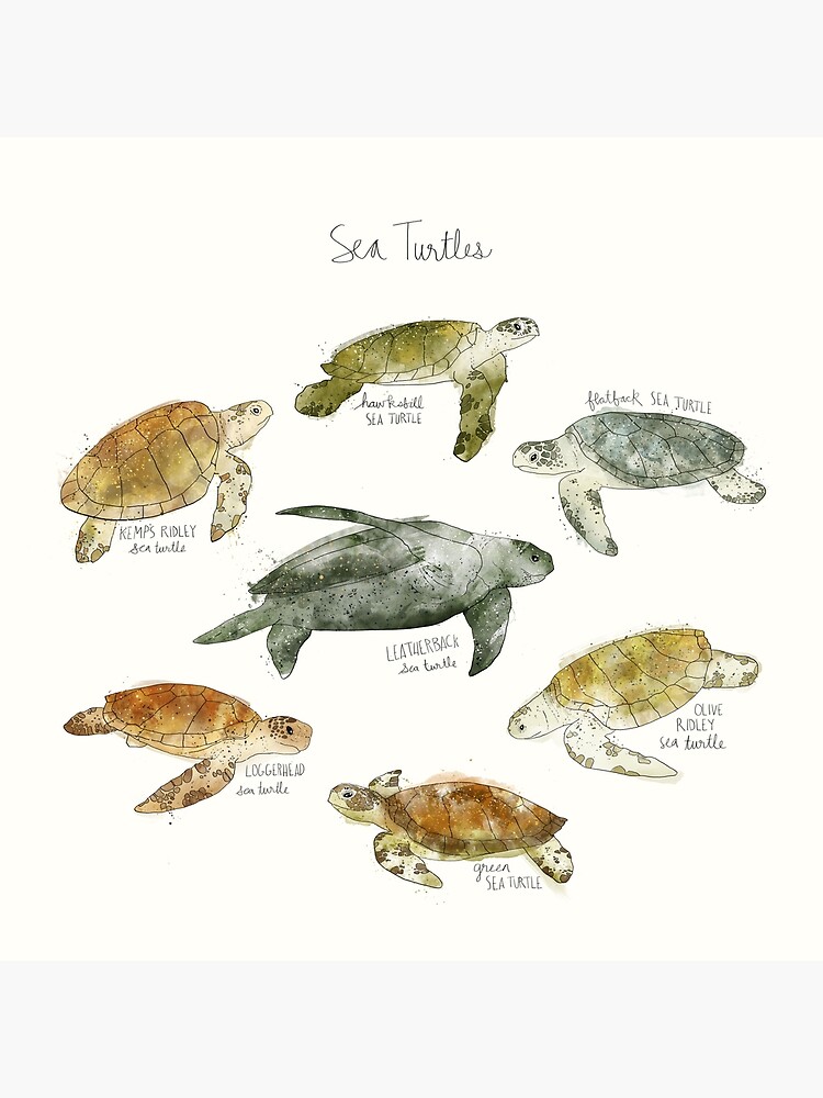 Thumbnail 2 of 2, Tote Bag, Sea Turtles designed and sold by Amy Hamilton.
