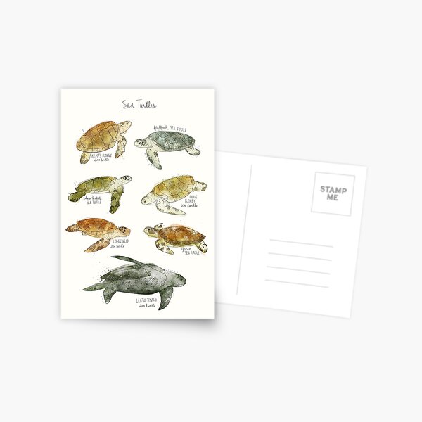 Sea Turtle Stamp Set, Animal Stamps